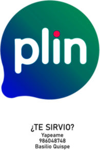 Plin logo AI