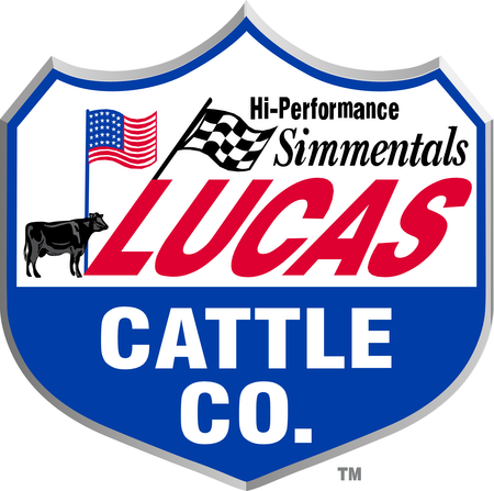 Lucas Cattle Company Light