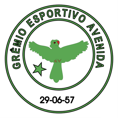 Gremio Esportivo Avenida De Soledade Rs