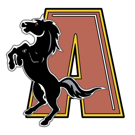 Augusta Stallions