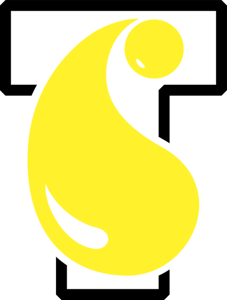 Technochemical Limited