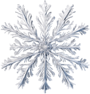 Harmonious Snowflake