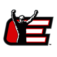 Dale Earnhardt Inc.