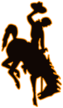 Wyoming Cowboys 