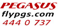 Pegasus Airlines