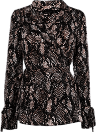 Snakeskin Blouse