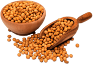 Scoop and Bag Of Dried Soybeans