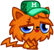 Gingersnap the Whinger Cat Sitting