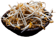 Bowl Of Soybean Sprouts