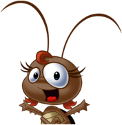 Connie Cockroach Hurray