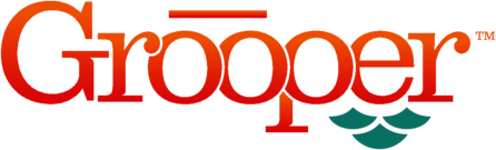Grooper