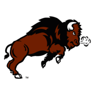 NDSU Bison
