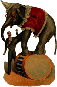Vintage Elephant On Top Of Barrel Circus Illustration