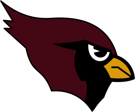 Arizona Cardinals 20479