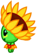 Pipa the Smiley Sunflower Turned To the Left