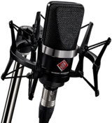 Neumann TLM 102 Studio Microphone