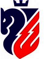 Monitorul de Botosani