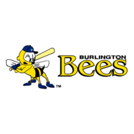 Burlington Bees