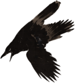 Crow Flying In The Snow Japan 19th Century