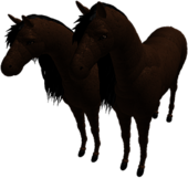 Roblox Duo of Horses