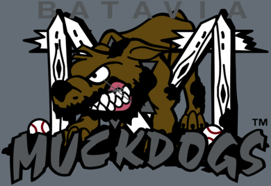 Batavia Muckdogs 58684