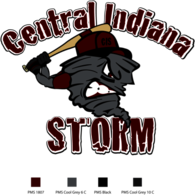 Central Indiana Storm