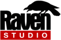 RAVEN_STUDIO