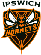 Ipswich Hornets Cricket Club 