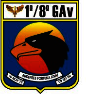 1º 8º GAV