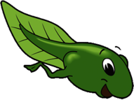 Tadpole Drawing