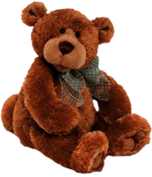 Teddy Bear
