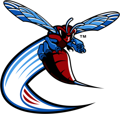 Delaware State Hornets