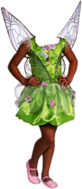 Tinkerbell Costume