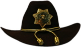 Deputy Sheriff's Hat