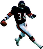 Chicago Bears Player