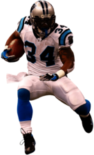 Carolina Panthers Player