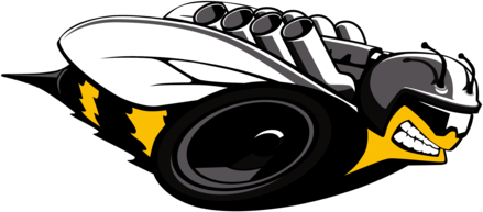 Dodge Rumble Bee-10th Anniversary