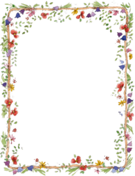 Flowers Frame Colours