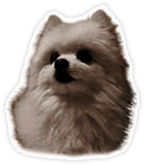 Gabe the Dog Sticker