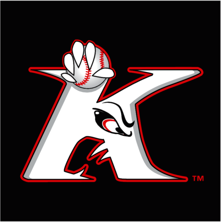 Kannapolis Intimidators