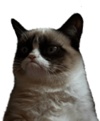 Grumpy Cat No