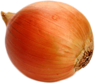Single Onion