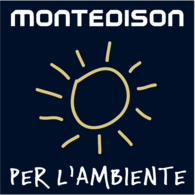 Montedison