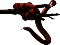Red Snake