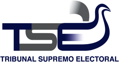 Tribunal Supremo Electoral