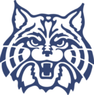Arizona Wildcats