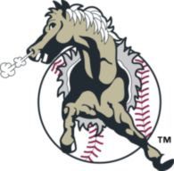 San Bernardino Stampede