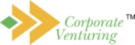 Corporate Venturing