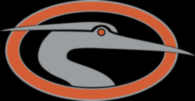 Delmarva Shorebirds