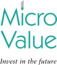 Micro Value
